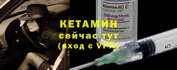 эйфоретик Кропоткин